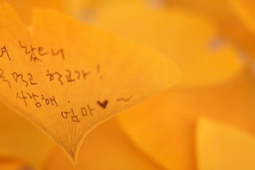 Media_httpwwwdesignbo_qhhog