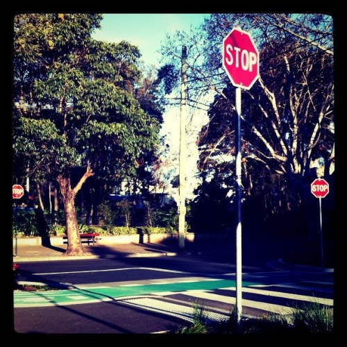 Media_httpimagesinsta_ctapj