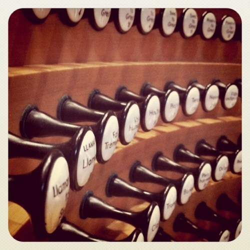 Media_httpimagesinsta_eceoc