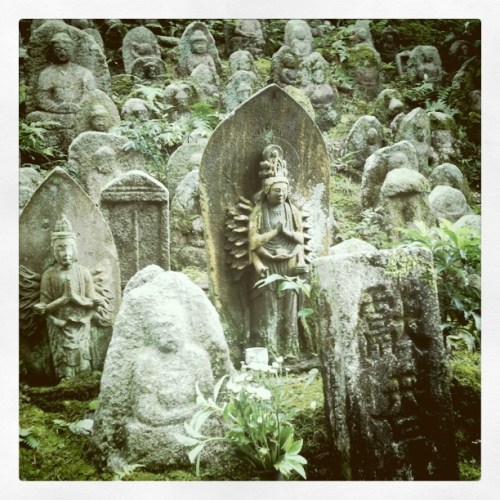 Media_httpimagesinsta_zibui