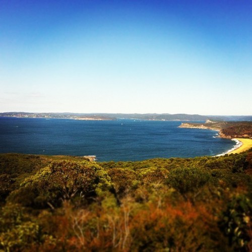 Media_httpdistilleryi_geozr