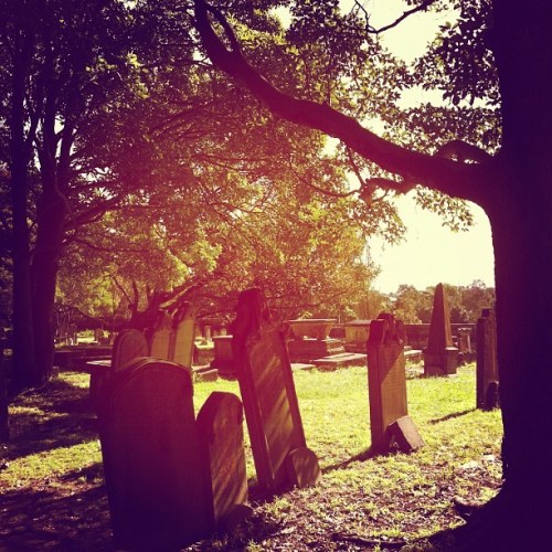 Media_httpdistilleryi_ejjih